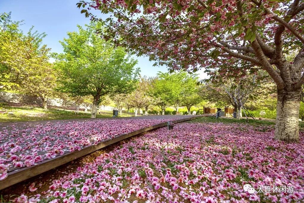 天气预报实时更新,与自然美景的浪漫旅行启程