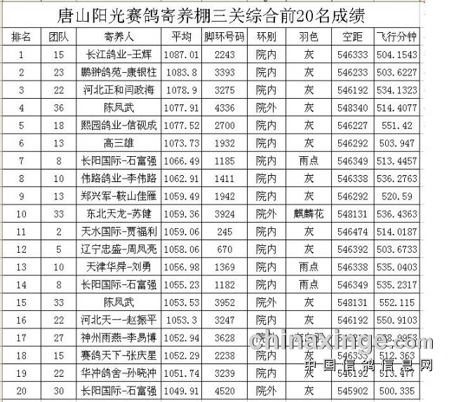 东光鸽会最新公告，未来发展规划与重大更新揭秘