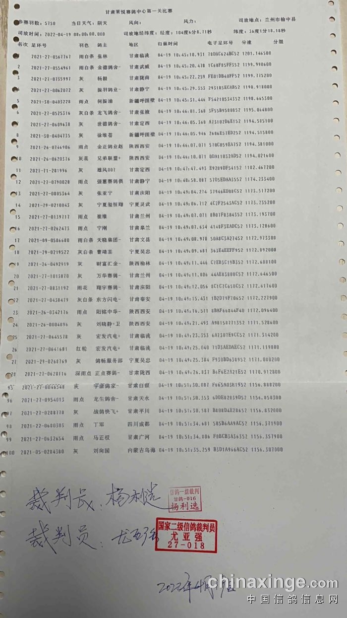 乐都信鸽最新公告引领信鸽运动新篇章