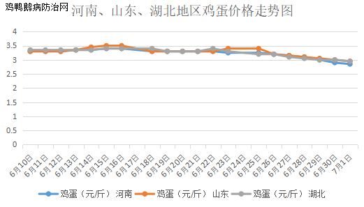 全国鸡蛋每日最新价格概览及动态分析