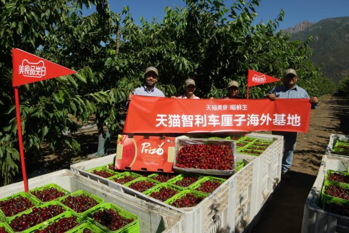 白小姐三肖三期必出一期开奖虎年_平湖洁芳小区最新房价,全方位操作计划_穿戴版4.42.836