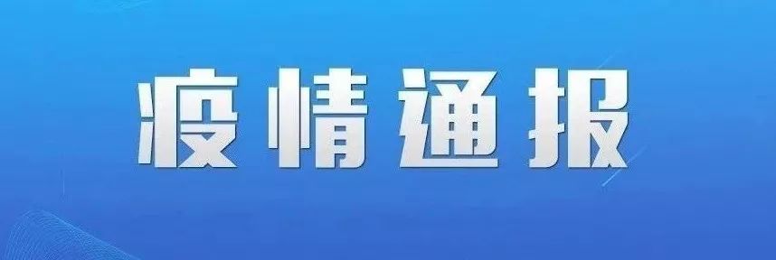 疫情最新通报官网指南，步骤详解