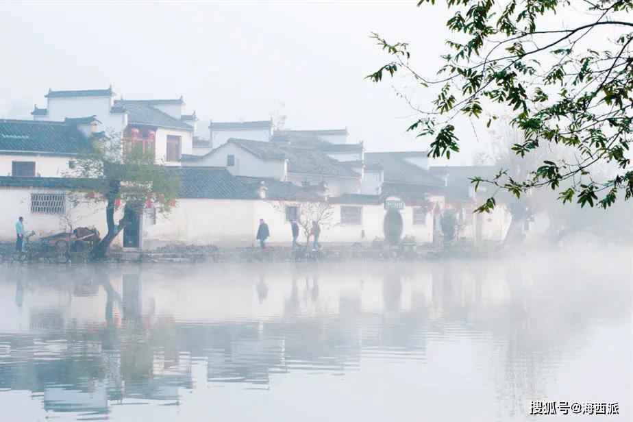 凤凰最新地址，自然美景的治愈之旅探索之旅