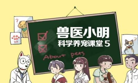 全国二卷最新试题下的奇妙日常与友情温暖篇章——小明的日常故事