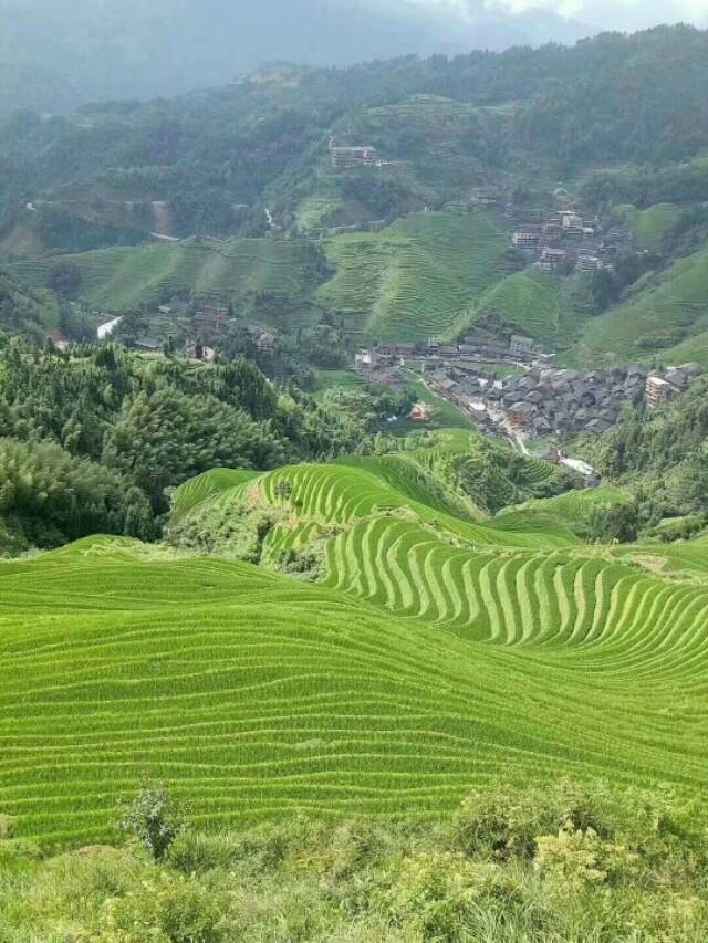 全球疫情下的自然美景之旅，寻找内心的宁静与平和