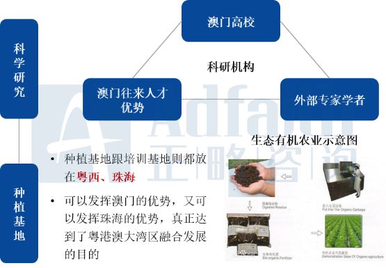 新澳资料免费大全,发展潜力解答落实_还原集28.662