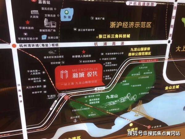 2024年澳门天天彩开奖结果,详细探讨解答解释措施_应用型81.563