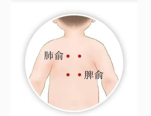 最新新型肺炎详细步骤指南，防控、诊断与治疗策略