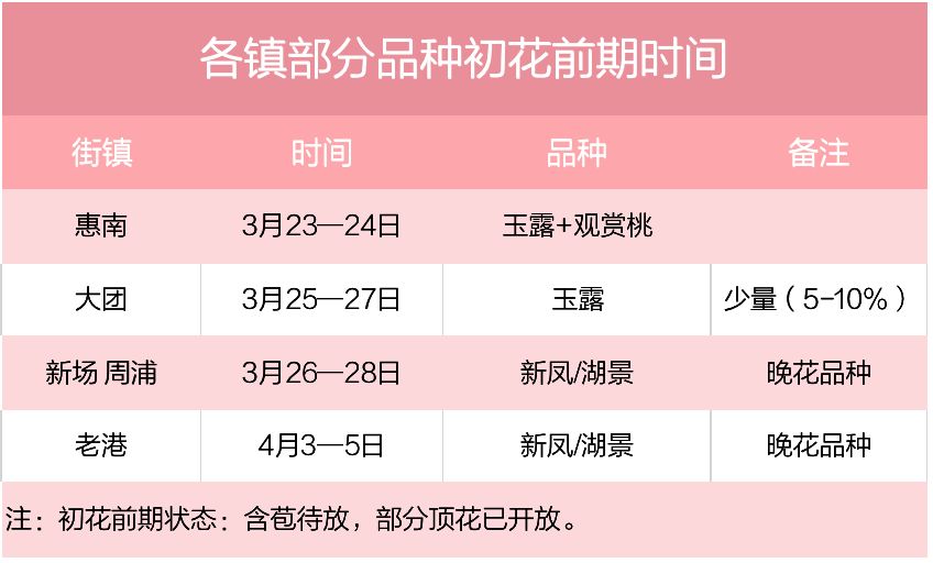 管家婆一票一码100正确,审慎解析落实路径_GM版81.648