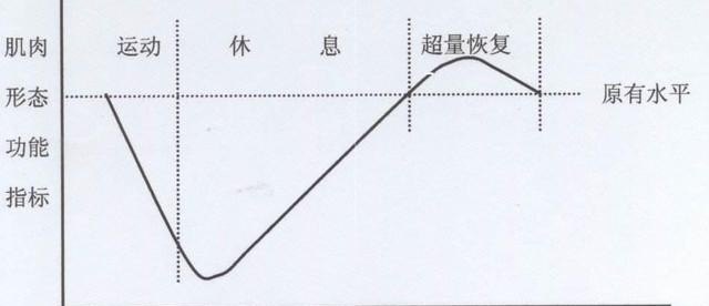 慢粒最新版，变化中的力量与成就感的源泉