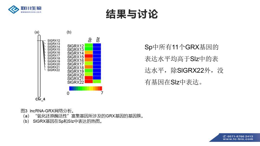 新澳彩资料免费资料大全,实地数据解释定义_调节版12.203