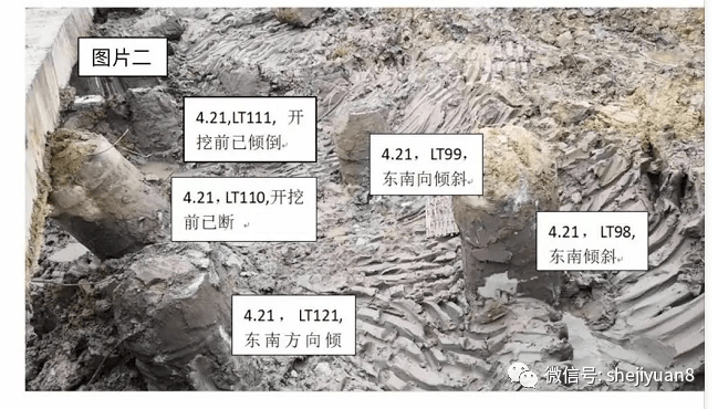 乌木最新动态，背景、重要事件与地位的深度探讨