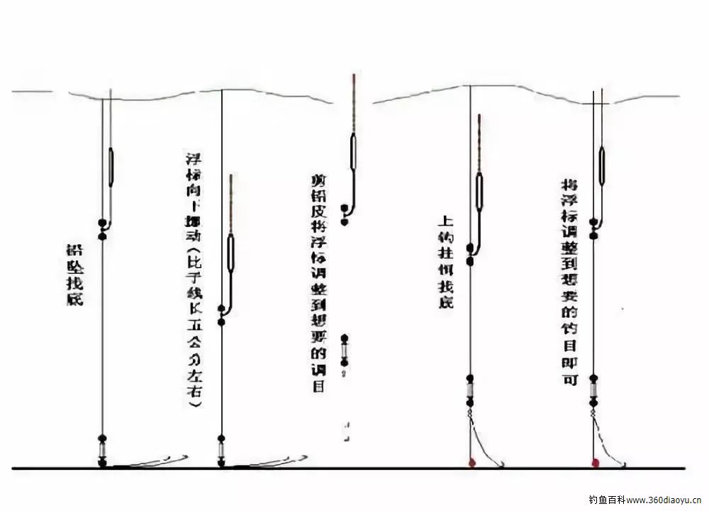 最新钓法革新引发技术争议与讨论