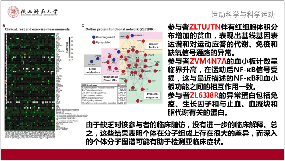 香港免费正版资料宝典，精准解读_户外版JXW462.4