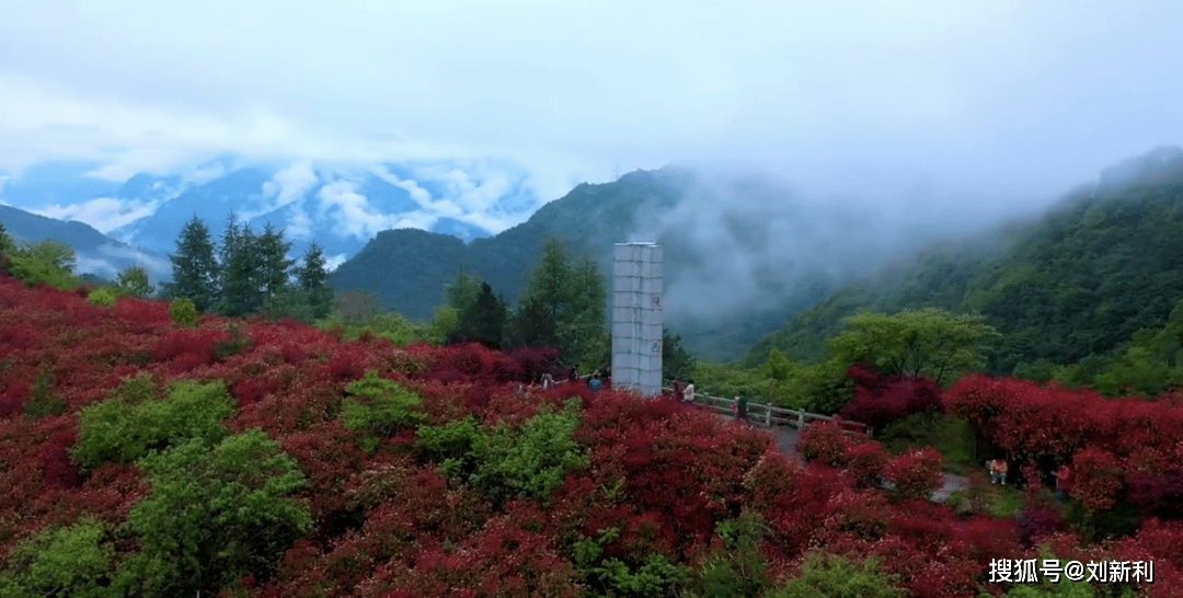 康县人事任免更新，自然美景探索之旅的幕后揭秘