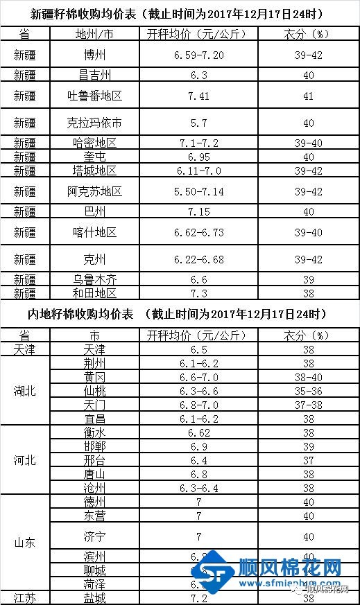 山东棉籽最新价格查询，今日行情及详细查询步骤指南