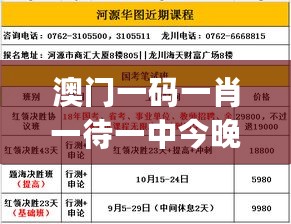 澳门今夜一肖精准预测，安全解析策略_终身版HCF880.27