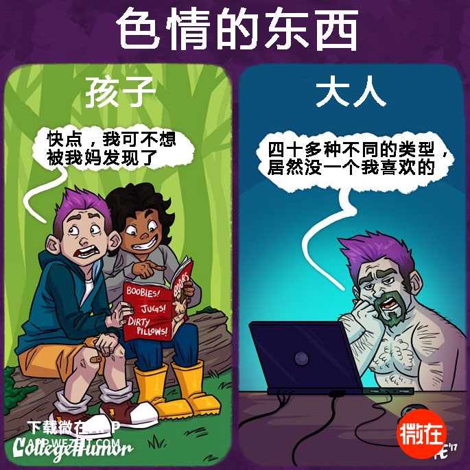 最新奇数贼的日常趣事与友情纽带揭秘