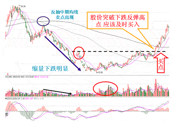 香港资料精准预测二四六期，中期设计解答方案_KNV6.34.69抗菌版