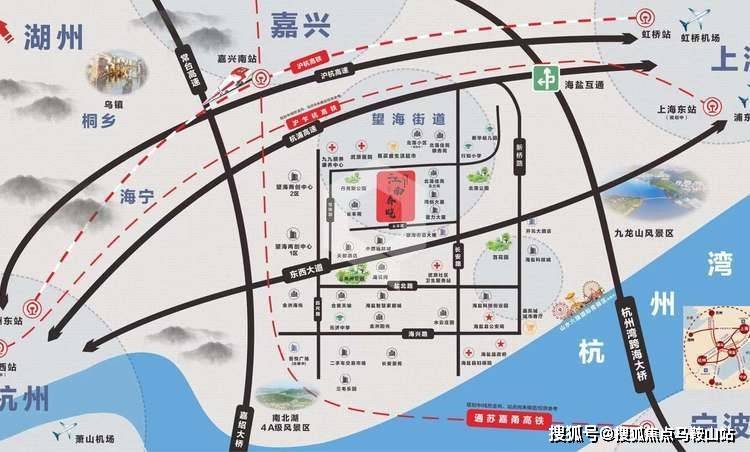 甘肃大蒜价格最新行情概览，最新行情指南与市场信息解读