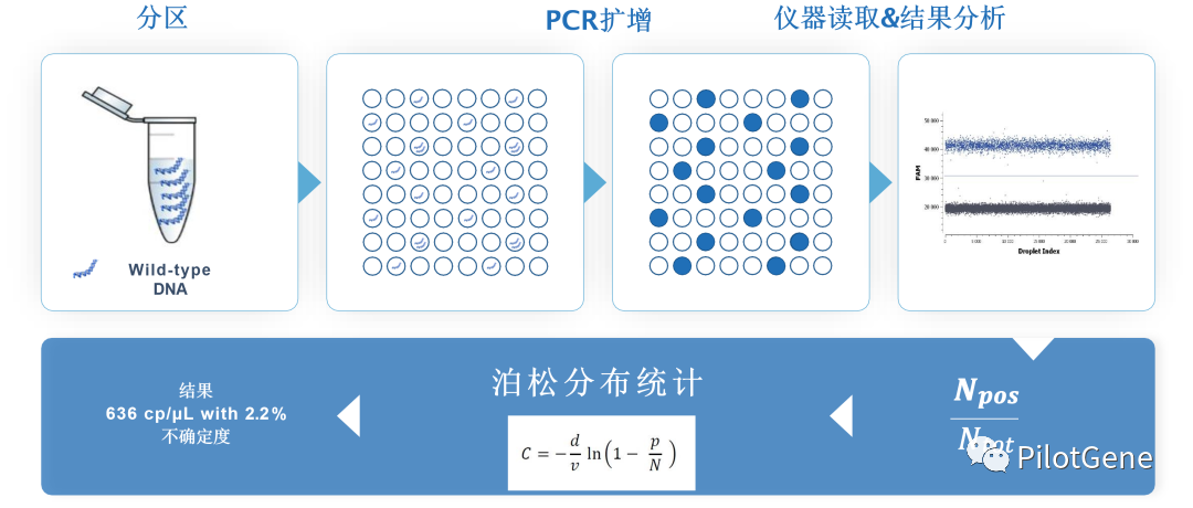 三肖码,系统科学_PCR83.678智慧版