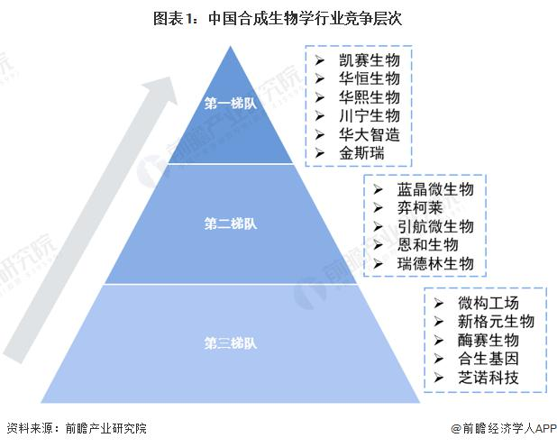 澳大利亚6合资料2024最新版,执行机制评估_RNH83.845专业版