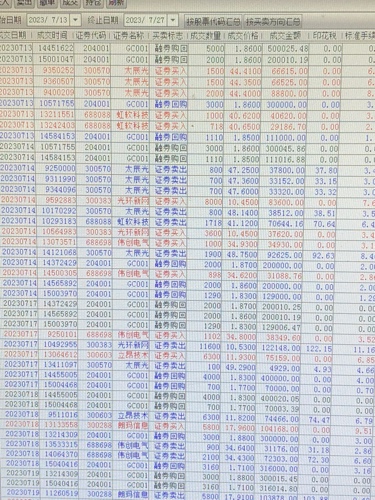 新奥彩最新资料,数据评估设计_XHL83.548拍照版