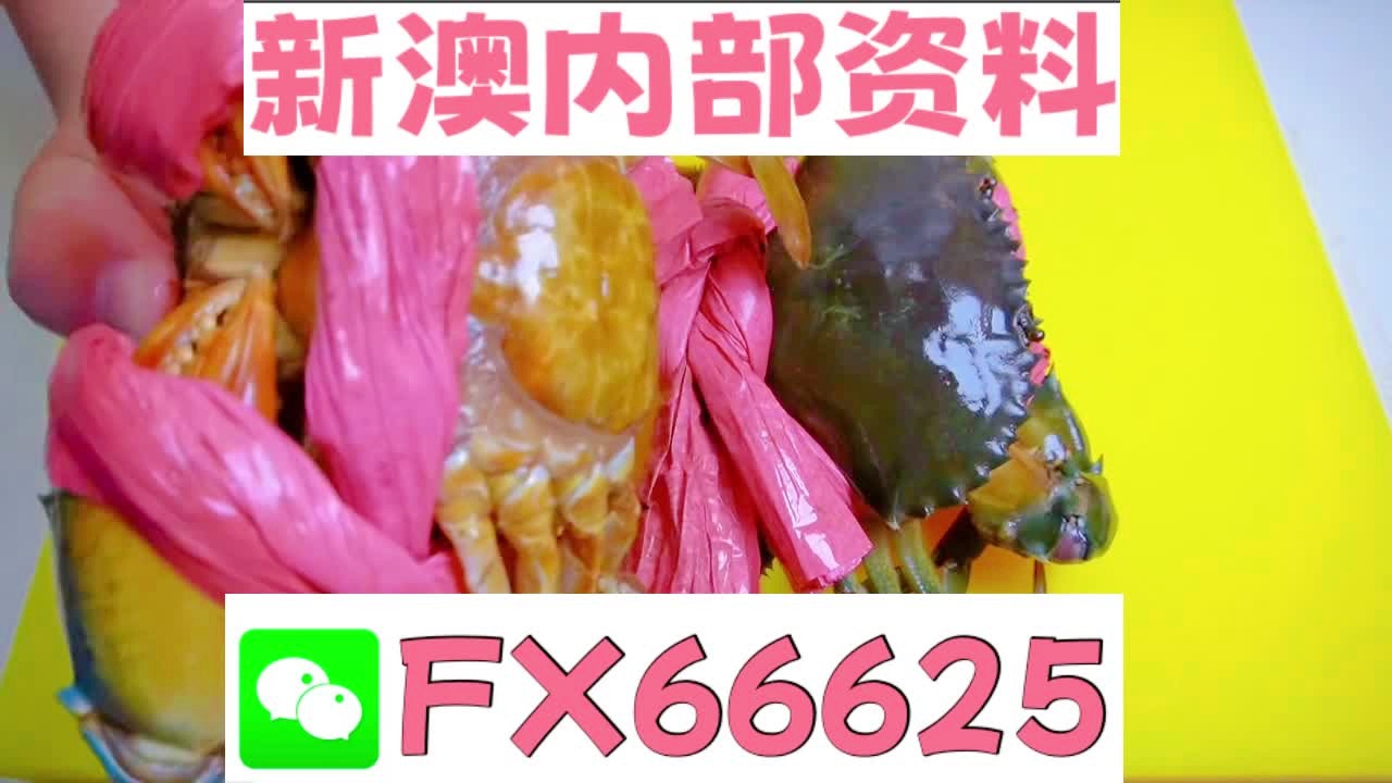 新澳精准内部码资料期期准,快速问题处理_ZYG83.772教育版