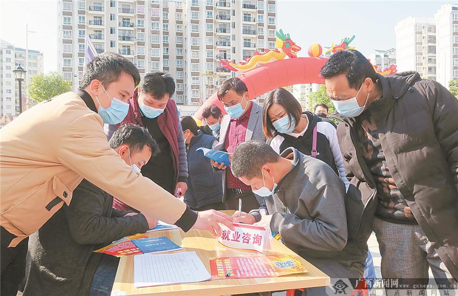 田阳老乡家园最新动态更新，家园新消息速递🏡🌱