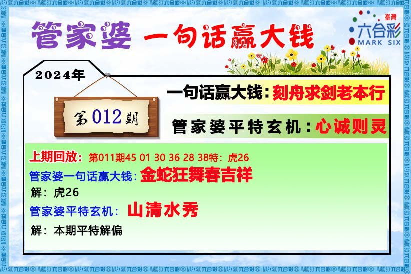 香港管家婆家婆一肖一码,创新计划制定_NSU51.624定制版