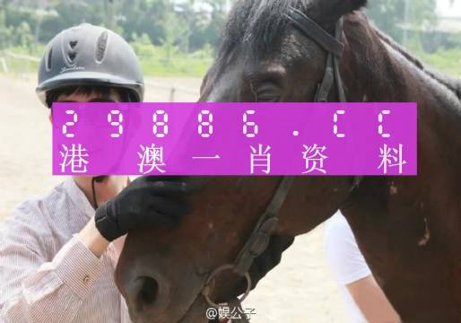 澳门今晚必中一肖一码,现代化解析定义_QVG51.712散热版