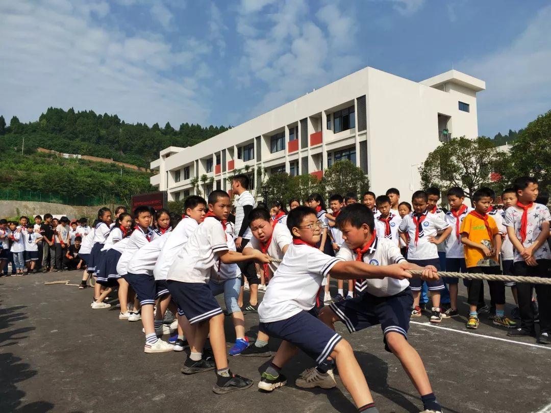 简阳养马灵仙最新规划，未来科技生活的革新之旅体验