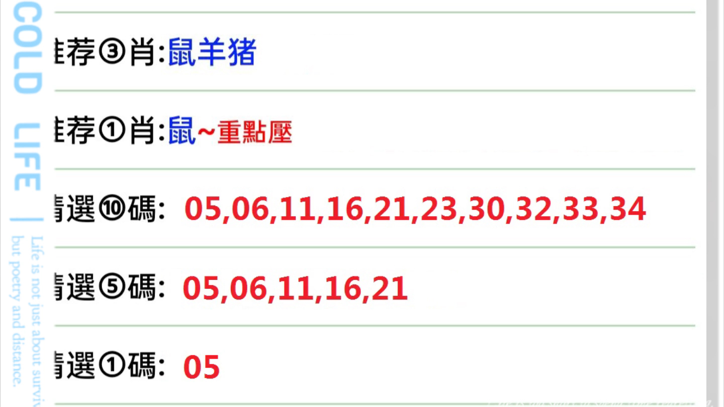 新澳门今晚开特马开奖结果124期,精细化实施分析_EUC94.230定义版