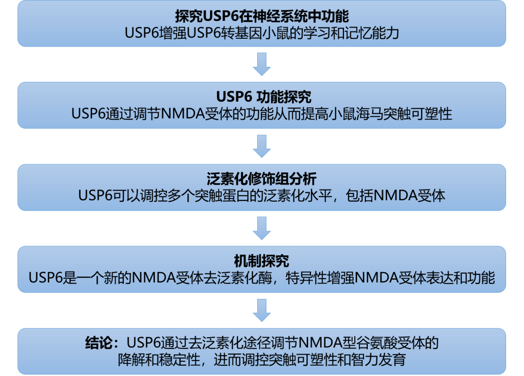 新澳免费资料,精细化方案决策_UJM94.456紧凑版