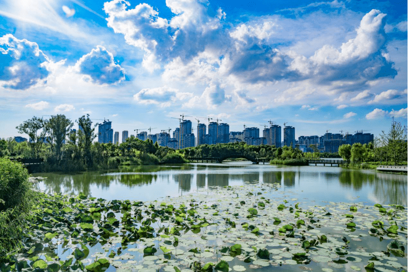 九有股份，自然美景的探索之旅，心灵的远离尘嚣之旅最新消息