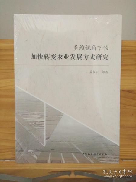 肥西丰乐区域发展多维视角审视，最新消息与动态分析