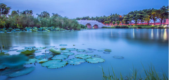 六安龙湖天地最新价格动态，风景变化中的学习力量与房价走势