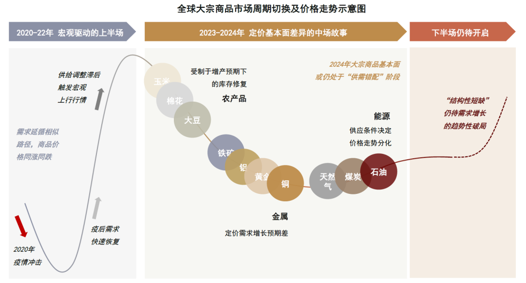 2024年正版资料免费大全亮点,实地数据评估分析_FYJ82.911理想版