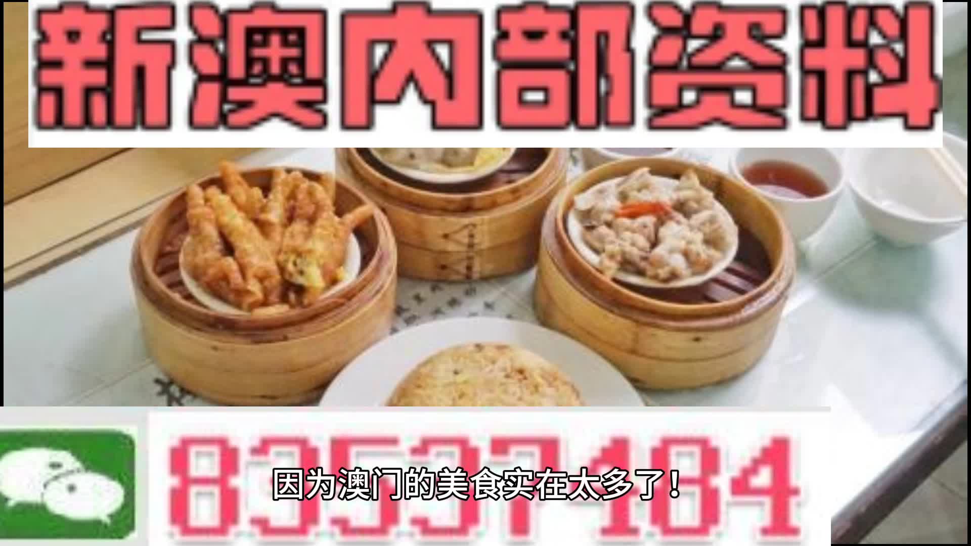 新澳门资料大全正版资料2024年免费下载,家野中特,策略规划_KOP82.912SE版