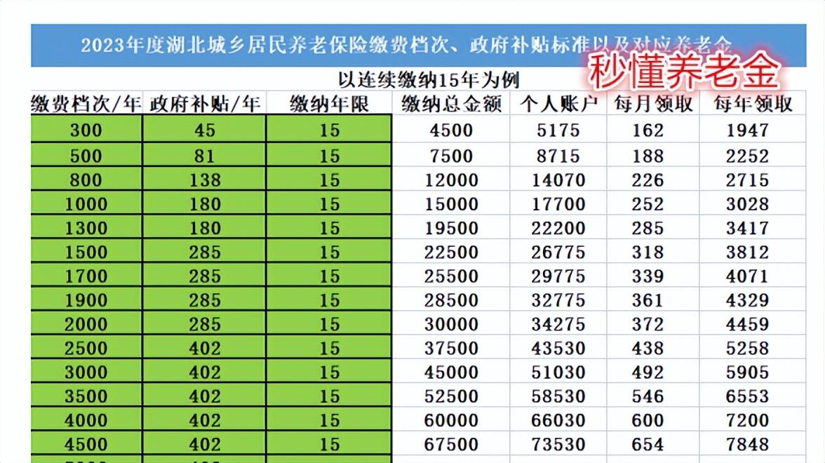 2024最新老婆价目表深度解析与科普