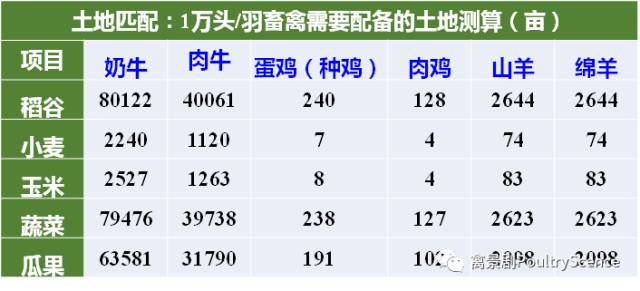 三肖三期必出期公开,精准数据评估_ITQ82.295珍藏版