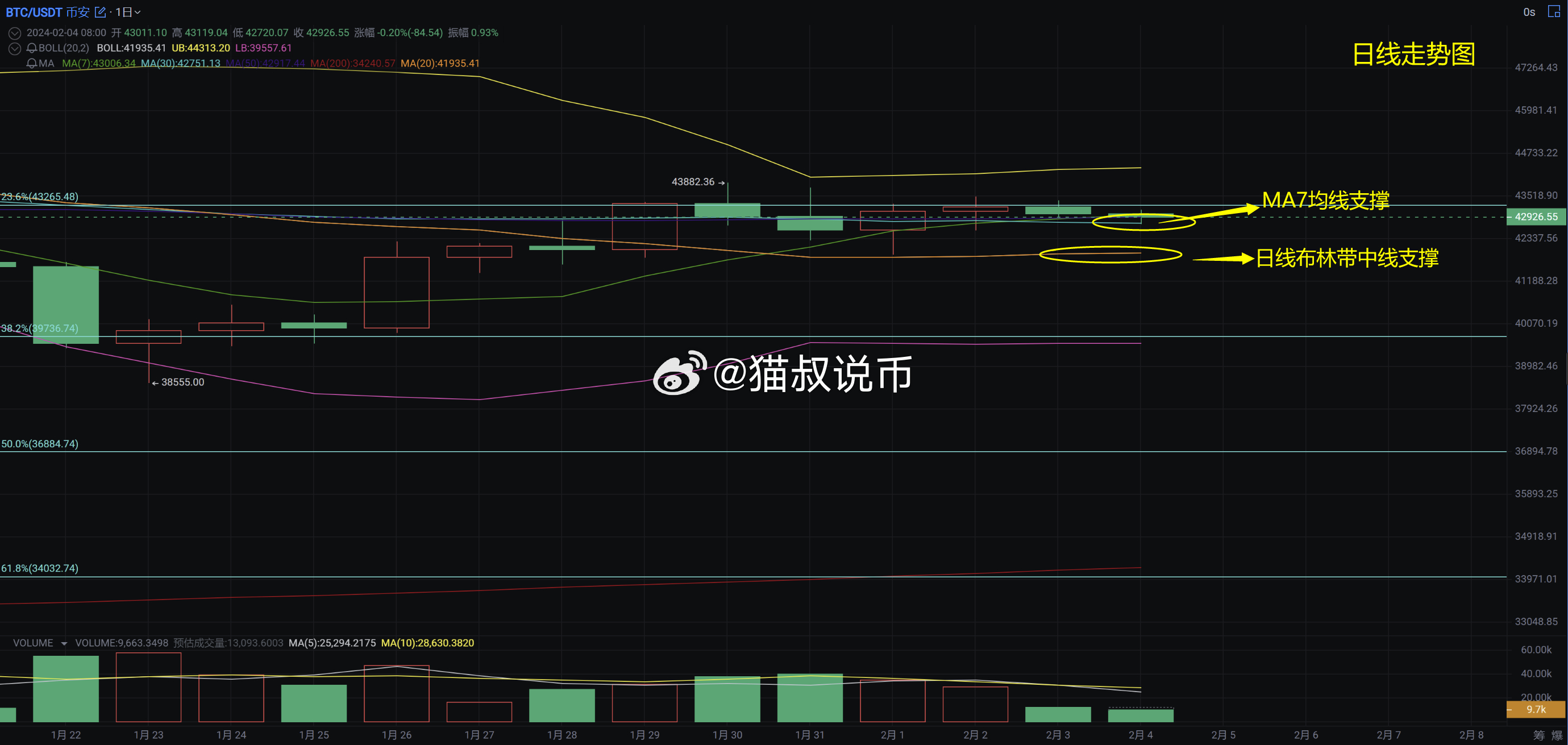 香港100‰一肖中特,全方位数据解析表述_TME82.566中级版