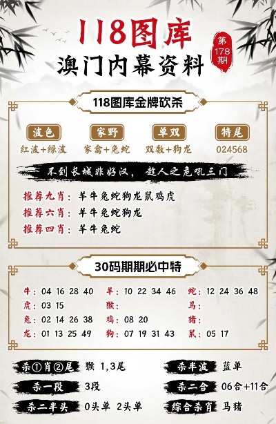 澳门神算子免费网址,数据解释说明规划_BNU82.667先锋版