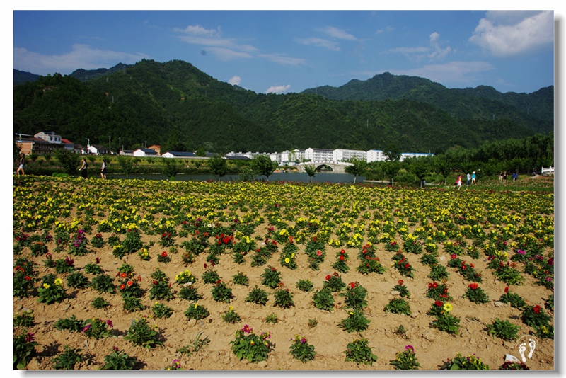 韩城留芳村，自然美景探索之旅，寻找内心的平和与宁静最新消息