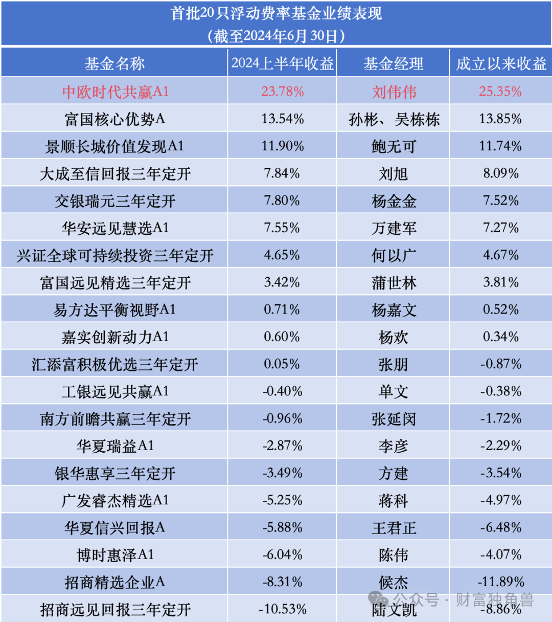 2024正版资料大全开码,稳固执行战略分析_ZGA82.720专门版