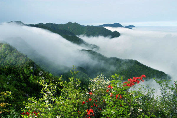 井冈山旅游上市最新动态，启程探索自然美景之旅